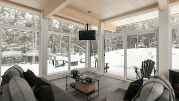 Télévision, cheminée, chaßne hi-fi