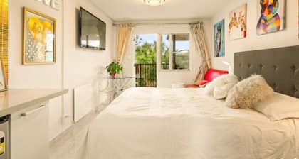 23 Studio Apartment in Mount Albert