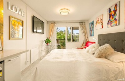 23 Studio Apartment in Mount Albert