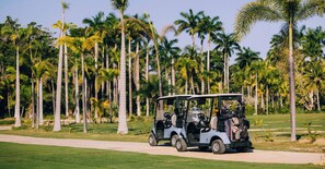 A golf cart on a path with palm trees in the background.