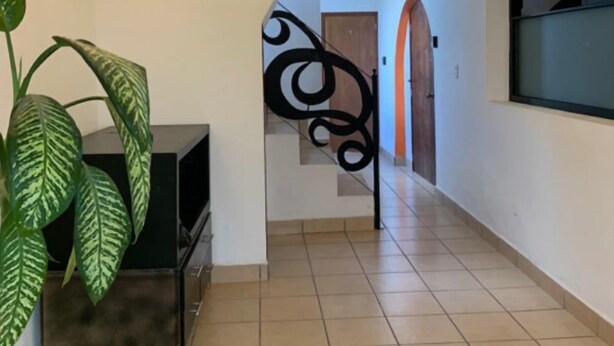 Un couloir avec un escalier, une plante en pot et un téléviseur fixé au mur.