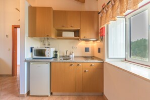 Fridge, microwave, stovetop, coffee/tea maker