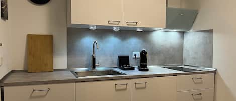 Frigorífic, microones, placa de cuina i rentaplats