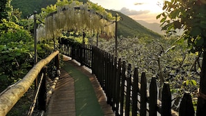 A wooden pathway leading through a lush garden with a wooden fence on one side and a metal archway on the other.