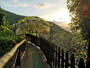 Property grounds - Agriturismo 'Comfortable Mini Apartment' with Mountain View, Wi-Fi and Air Conditioning (Fisciano)