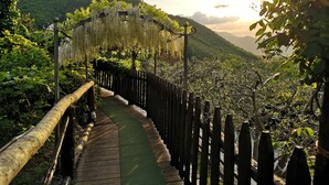 A wooden pathway leading through a lush garden with a wooden fence on one side and a metal archway on the other.