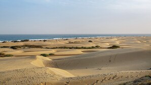 A desert landscape with sand dunes and a beach.