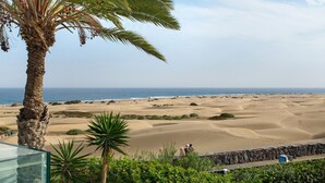 Une plage avec des dunes de sable, des palmiers et une vue dégagée sur l’océan.