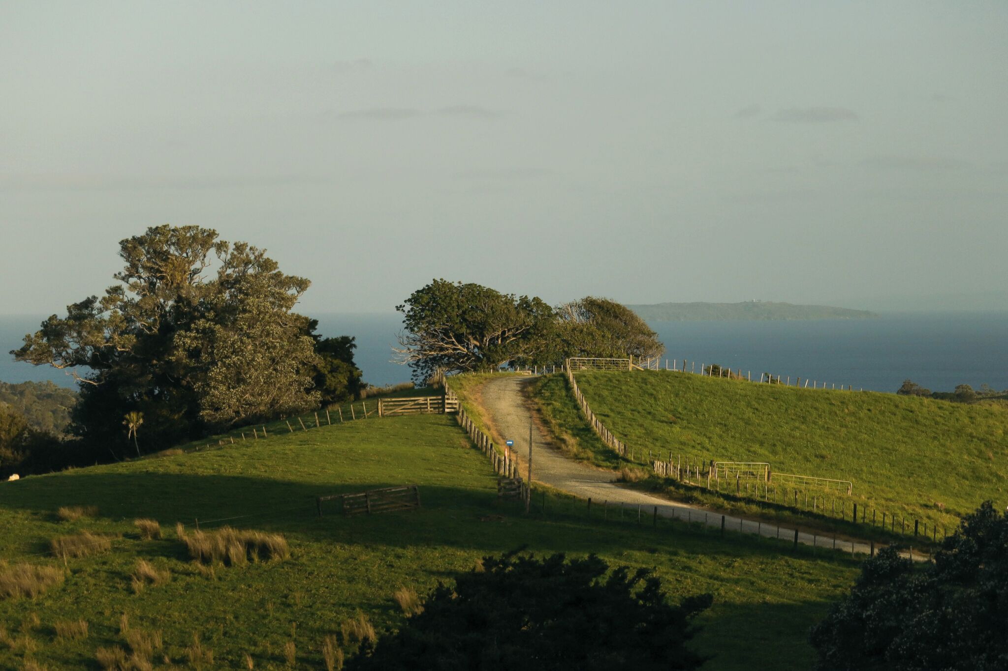 A rural landscape with a dirt path leading to a fenced area with trees.