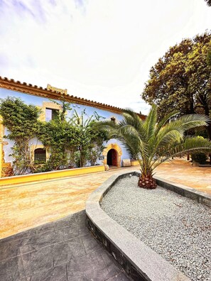 Un patio con un edificio que tiene techo de tejas y puertas arqueadas, rodeado de follaje y una palmera.