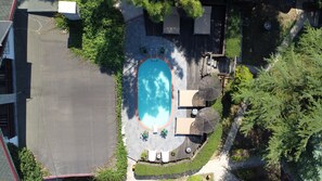 View from property - Treetops Park Hotel (Şile)