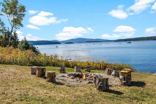 Clamshell by the Sea