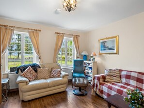 TV, fireplace, DVD player