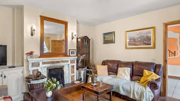 電視、壁爐、DVD 播放機