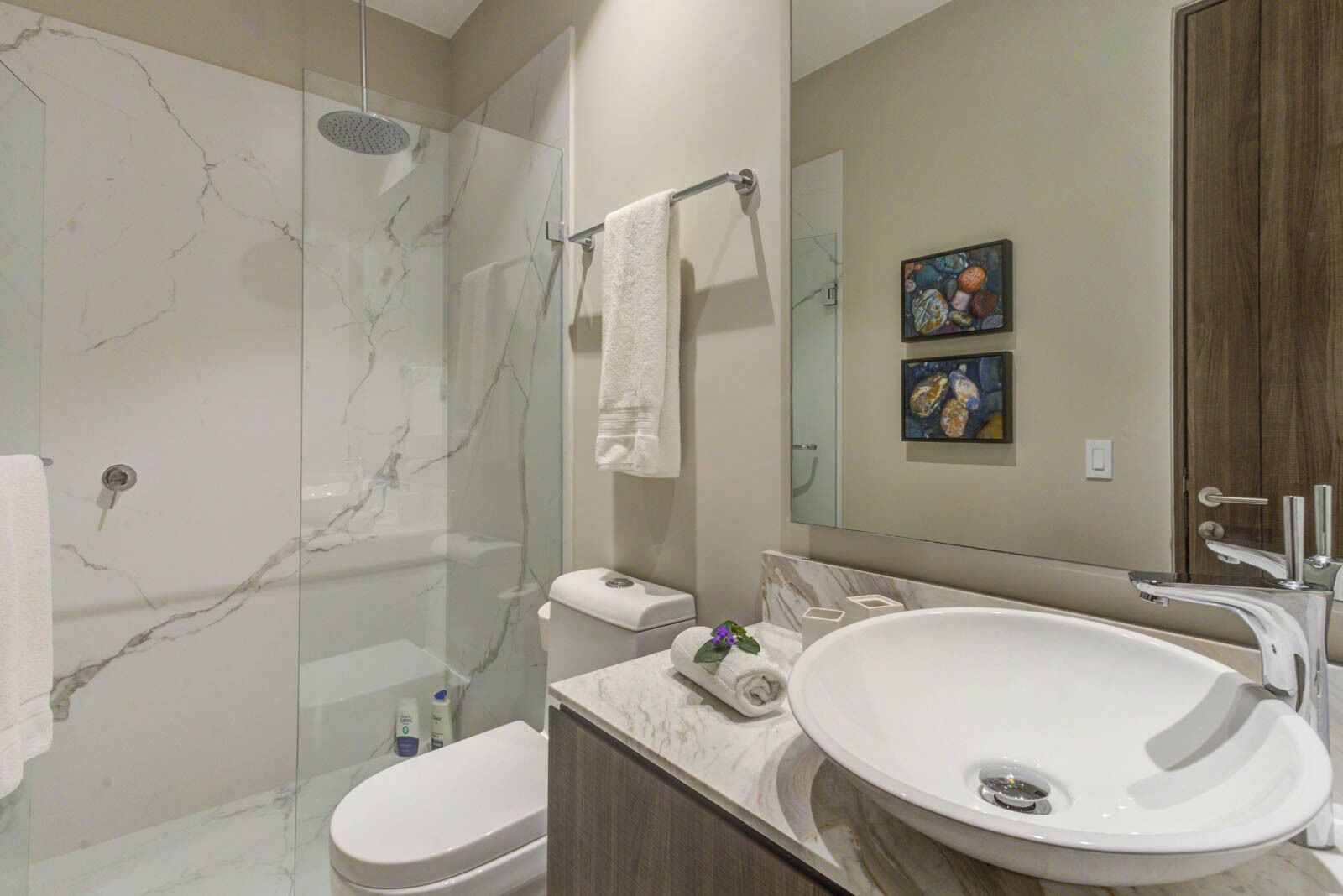 Une salle de bain moderne avec une douche à parois de verre, un grand lavabo et des toilettes.