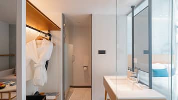 A modern bathroom with a glass shower enclosure, a white sink with a mirror, and a robe hanging on a rack.
