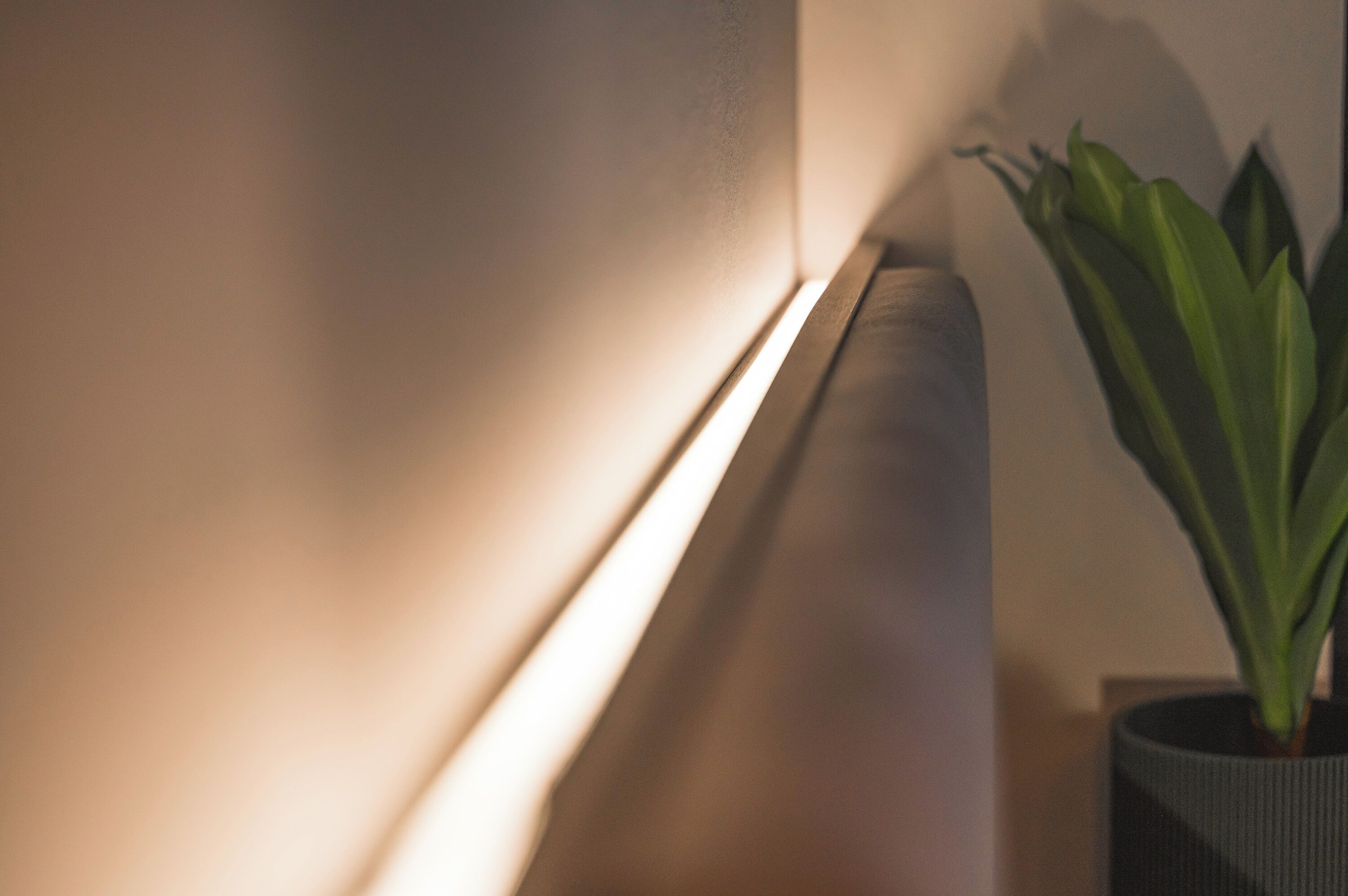 Foto - JUNGLE No5 Boutique Hotel - Stuttgart City-Center