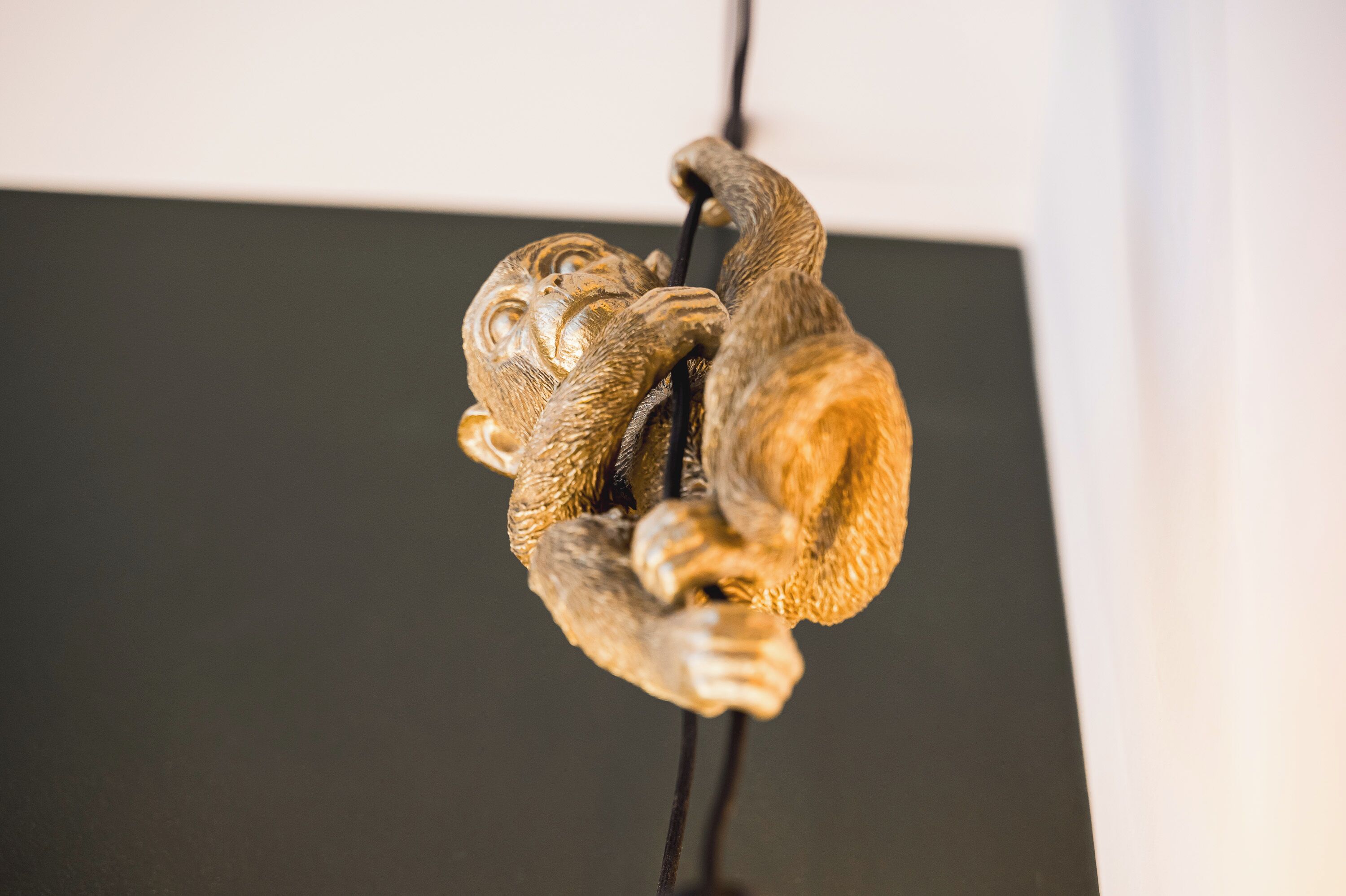 Foto - JUNGLE No5 Boutique Hotel - Stuttgart City-Center