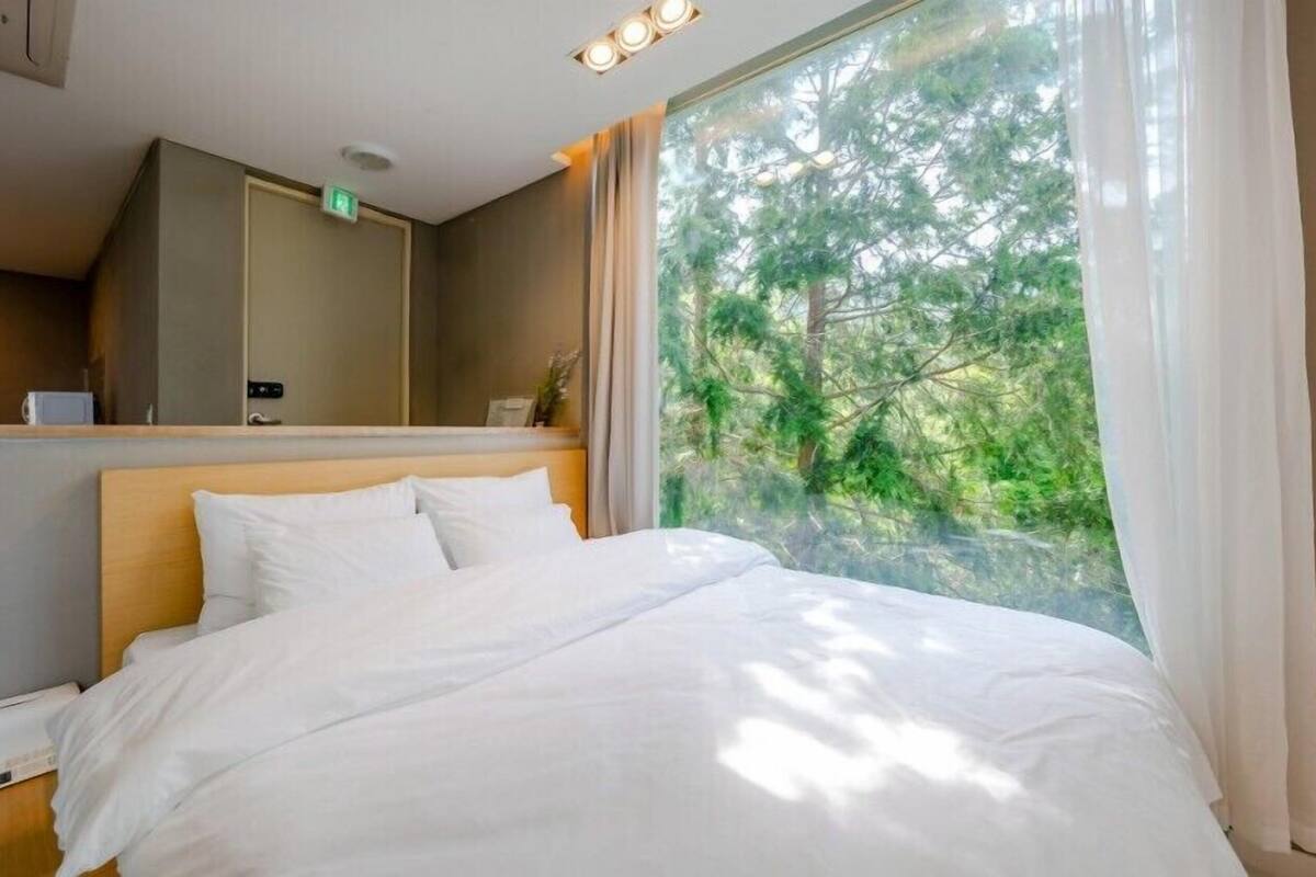 A hotel room with a bed, a bedside table, a nightstand, a mirror, a window with a view of trees, and a ceiling light fixture.