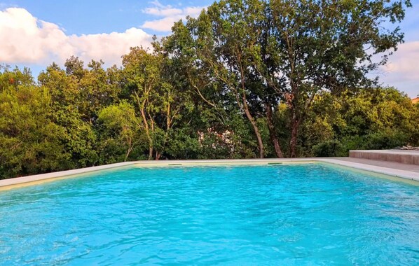 A rectangular swimming pool with clear blue water, surrounded by lush green trees and a clear sky.