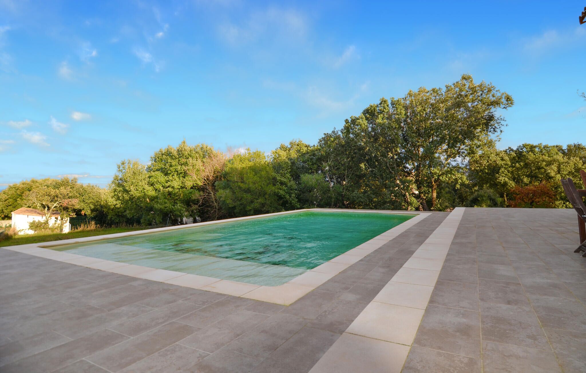 Ein rechteckiger Pool mit Fliesen, umgeben von Bäumen und blauem Himmel.