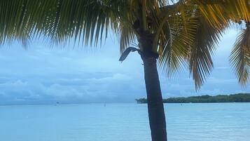 On the beach, sun-loungers, beach towels, 12 beach bars