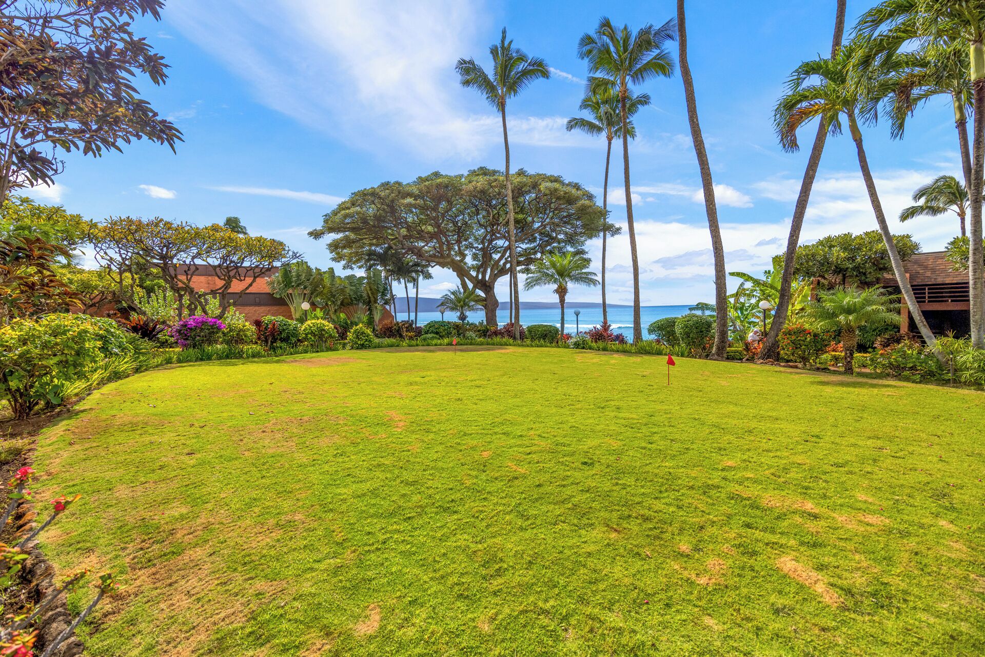 A well-maintained lawn with a flag, surrounded by tropical vegetation and palm trees, with a view of the ocean.