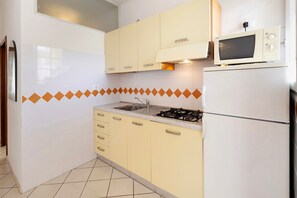 Kühlschrank, Mikrowelle, Herdplatte, Kochgeschirr/Geschirr/Besteck