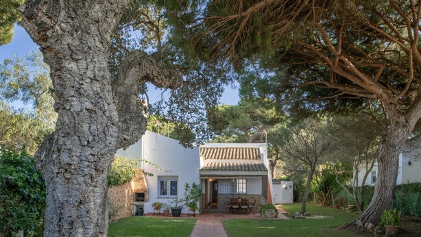 Una casa con techo de tejas, un camino de ladrillo que lleva a la entrada y un jardín con plantas en macetas.
