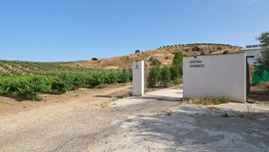Una puerta con un cartel que dice 'CASILLAS MIGUELIN' que da a un viñedo.