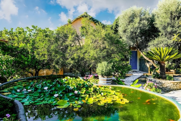 A garden with a pond, water lilies, and a building with a blue door.