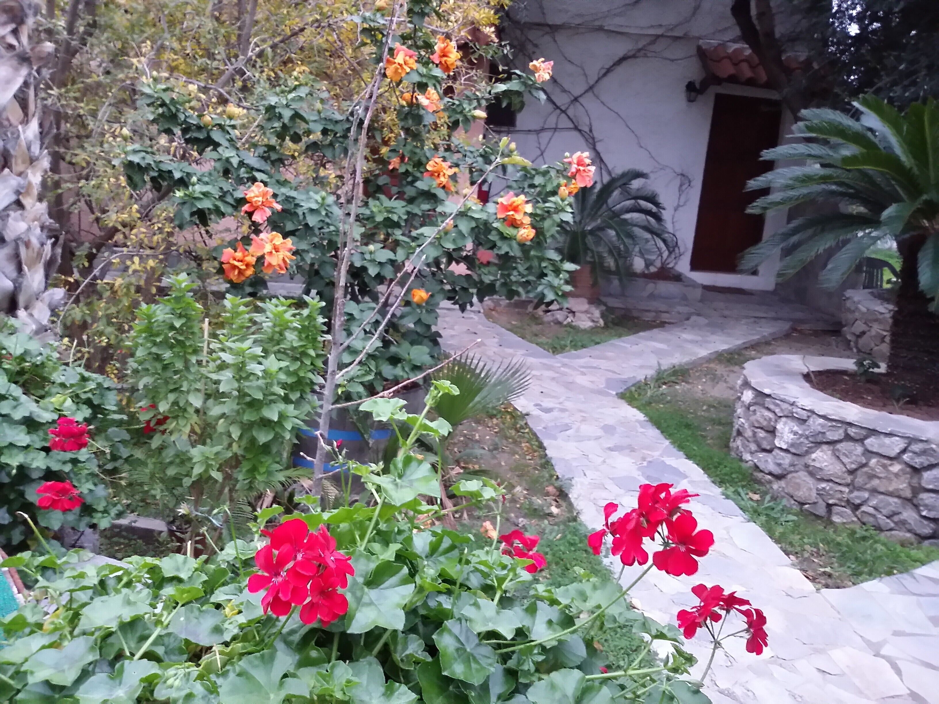 En have med forskellige planter og blomster, en stienslag og en bygning med en dør.