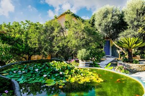 Un jardin avec un étang, des nénuphars et un bâtiment doté d’une porte bleue.