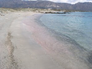 Tæt på stranden