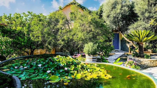 A garden with a pond, water lilies, and a building with a blue door. - Cottage 'Olive Tree   4' with Sea View, Private Terrace and Wi-Fi (Paleochora-Crete)