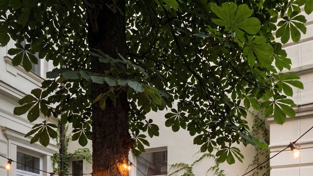 Une table ronde entourée de chaises, installée à l’extérieur, avec un arbre et des guirlandes lumineuses en arrière-plan.