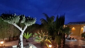 Un jardí ben cuidat amb un arbre, diferents plantes i un camí que porta a un edifici.