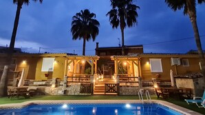 Una piscina amb un voreig de rajola i una palmera de fons.