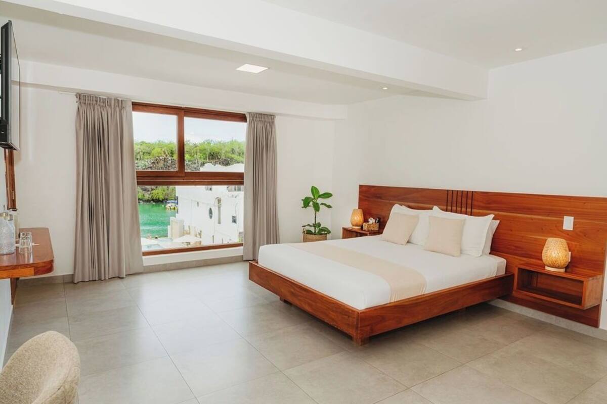 Une chambre avec un grand lit, une télévision, un bureau, une chaise, une fenêtre avec des rideaux et une vue sur la verdure à l’extérieur.