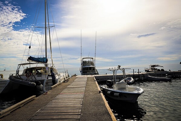 Marina