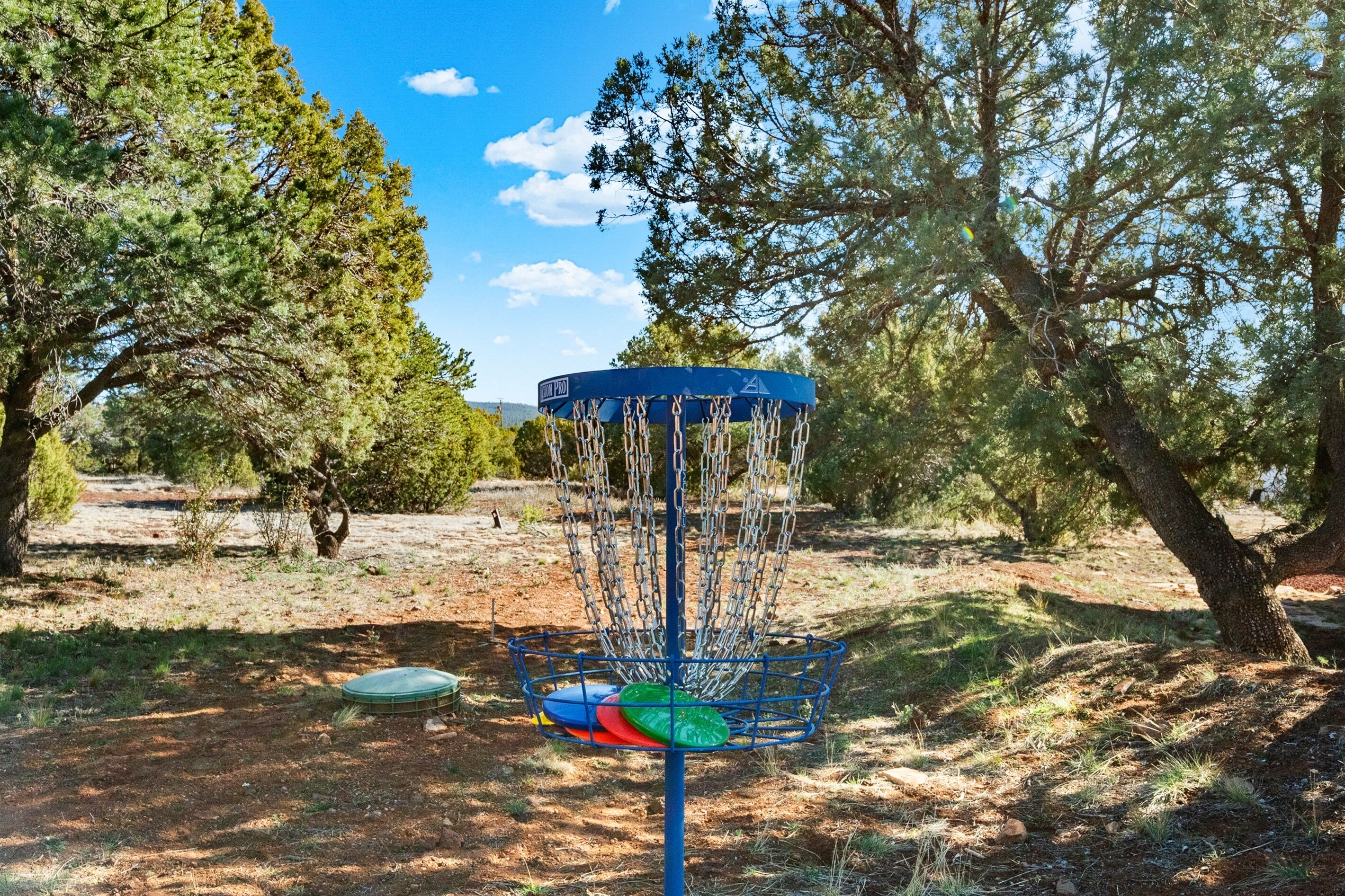 Ein Discgolf-Korb mit Ketten, umgeben von Bäumen und blauem Himmel.