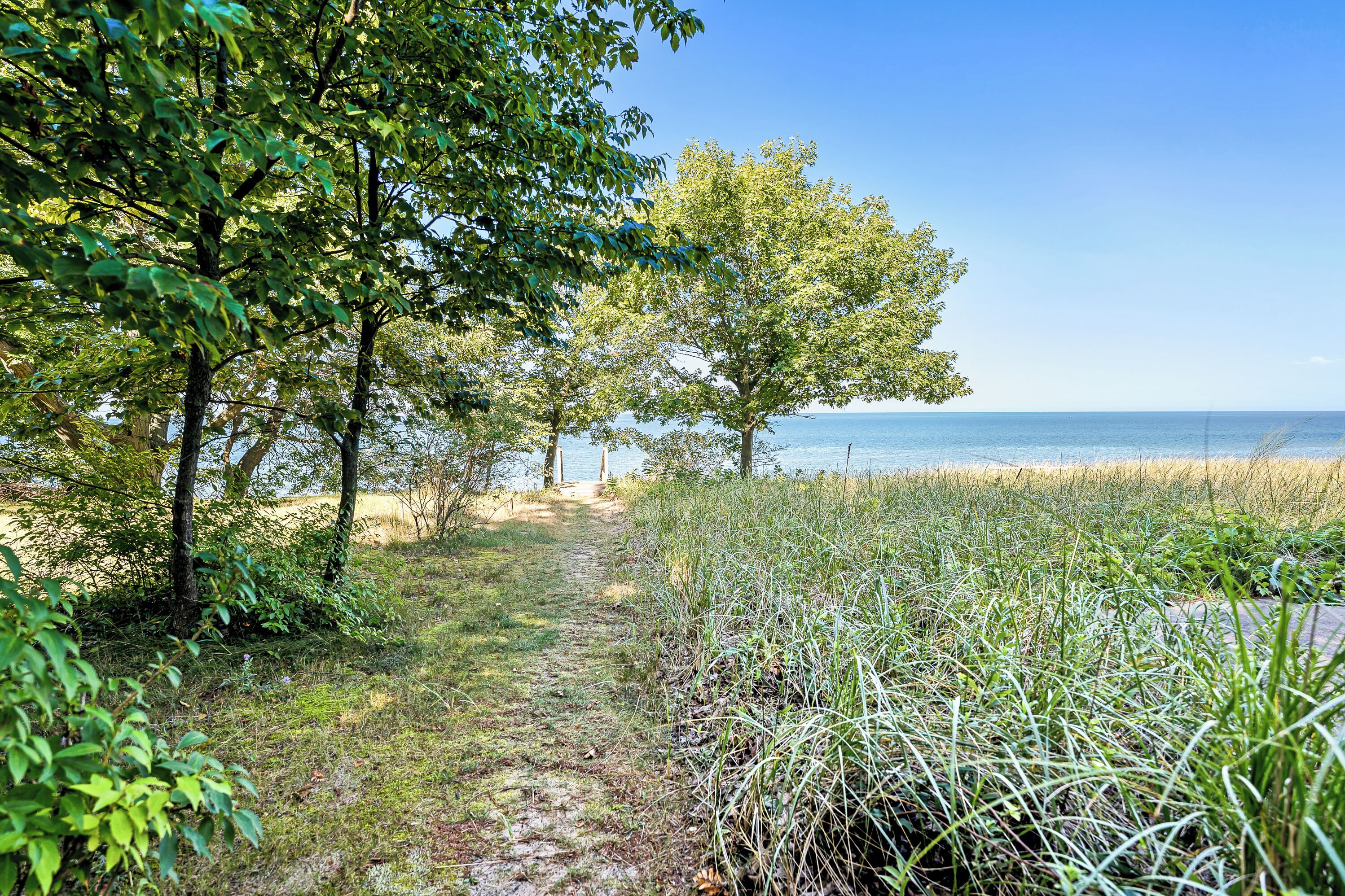 Un sentier qui mène à une plage bordée d’arbres et d’herbe.