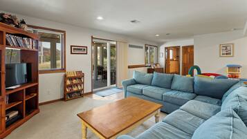 Televisión, chimenea, videojuegos y reproductor de DVD