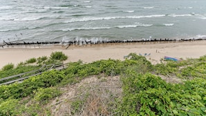Una playa con un muelle de madera, una orilla arenosa y algo de vegetación.