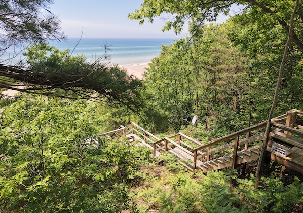 A wooden staircase leading to a beach, surrounded by dense green foliage.
