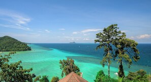 A coastal landscape with a clear view of the sea, a small island, and a prominent tree in the foreground. - Centara Villas Phi Phi Island (Ko Phi Phi)