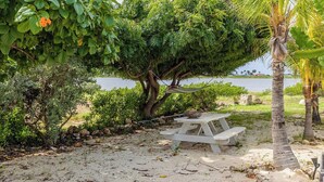 A beach picnic area with a table and benches, surrounded by lush greenery and a palm tree. - Tropical Decor Studio  Walk to the Beach  Pool (Noord)