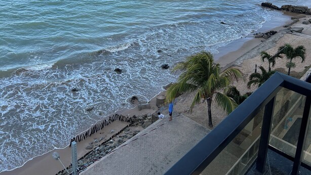 A coastal view from a balcony overlooking a beach with waves, a palm tree, and a rocky shoreline.