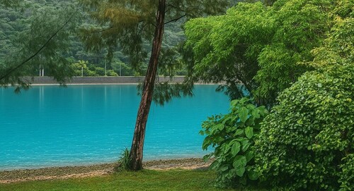 No4  Room only  A villa with a jacuzzi and BBQ / Nago Okinawa