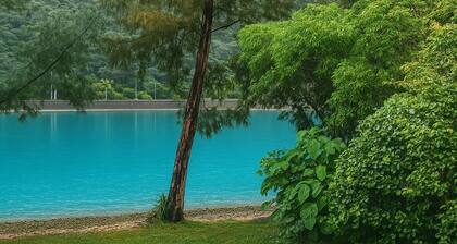 No5 Room only A villa with a jacuzzi and BBQ / Nago Okinawa